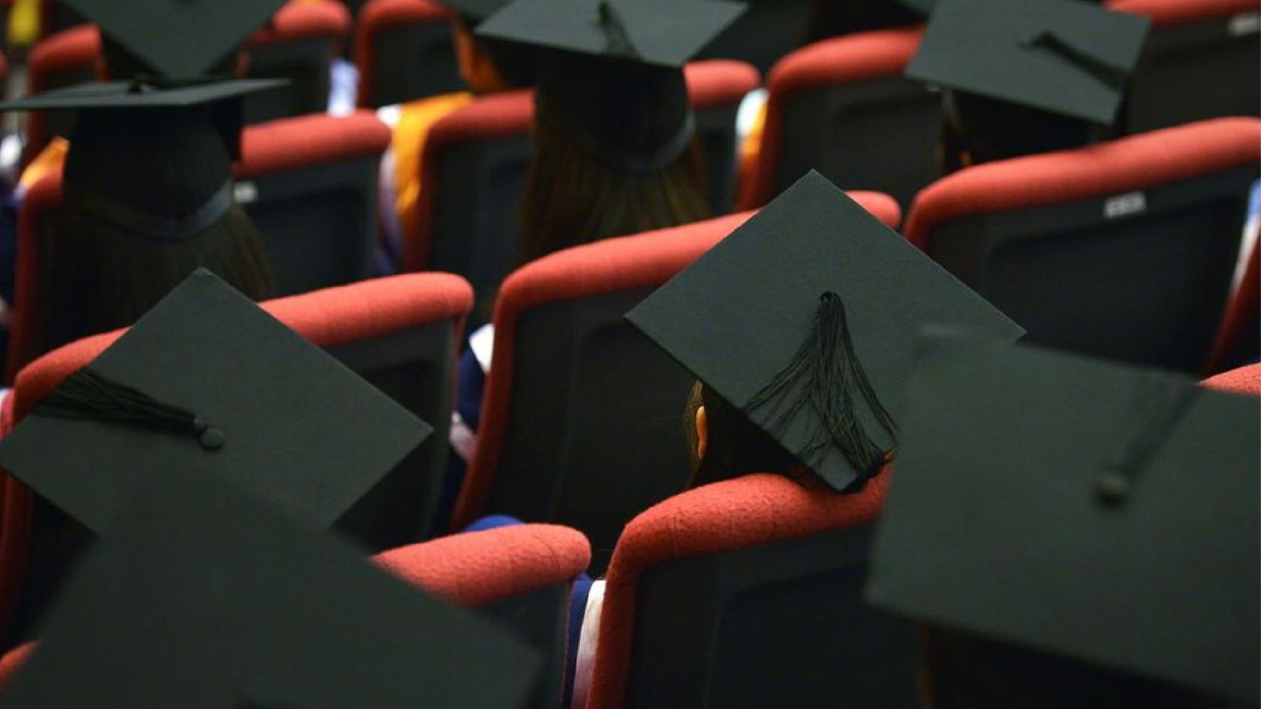 Private University Graduate Employment in Singapore 2024: Less Than Half Secure Full-Time Jobs