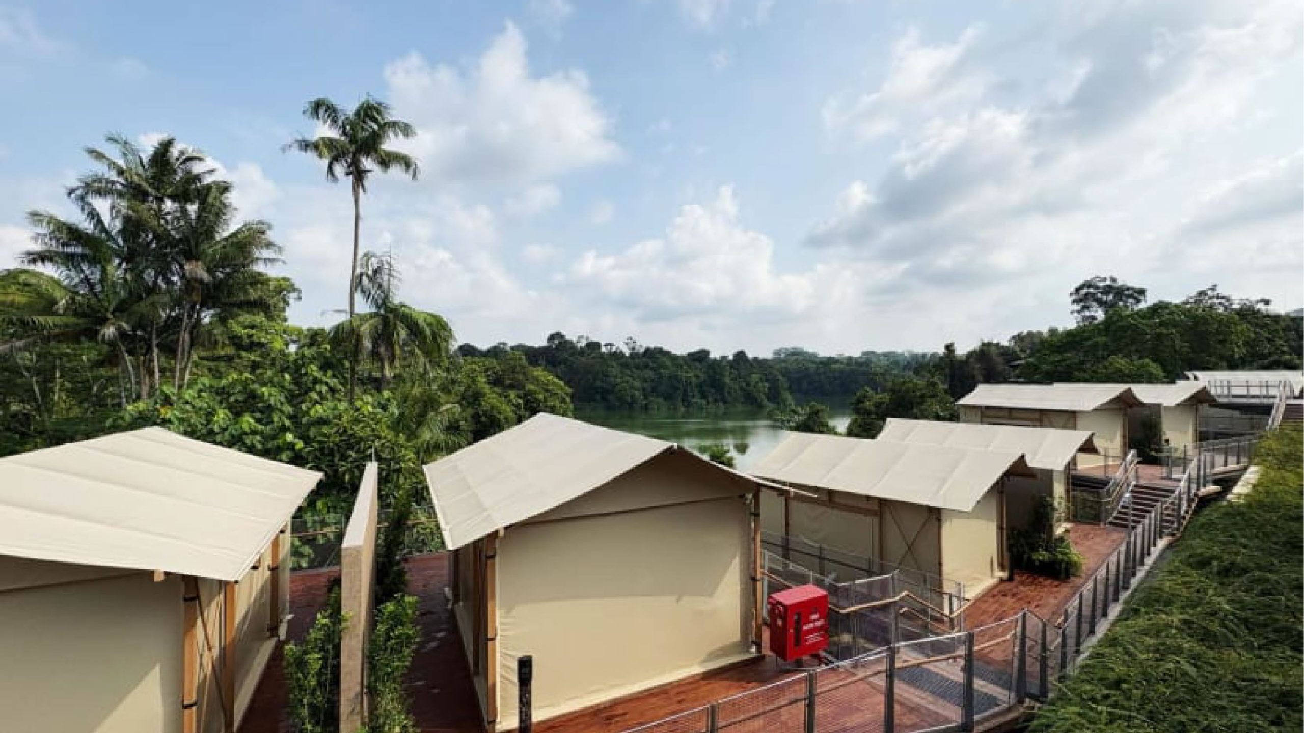 Experience Luxury Camping at Colugo Camp in Mandai Wildlife Reserve