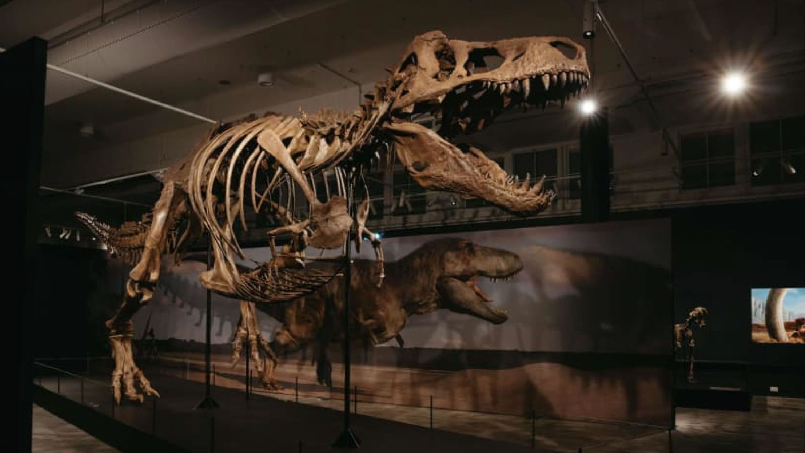 Science Centre Singapore to Unveil Largest-Ever Dinosaur Showcase in October