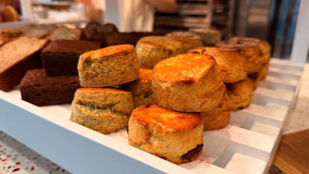 Elephant Grounds Opens First Singapore Cafe at Guoco Midtown: What to Expect from the Hong Kong Favourite