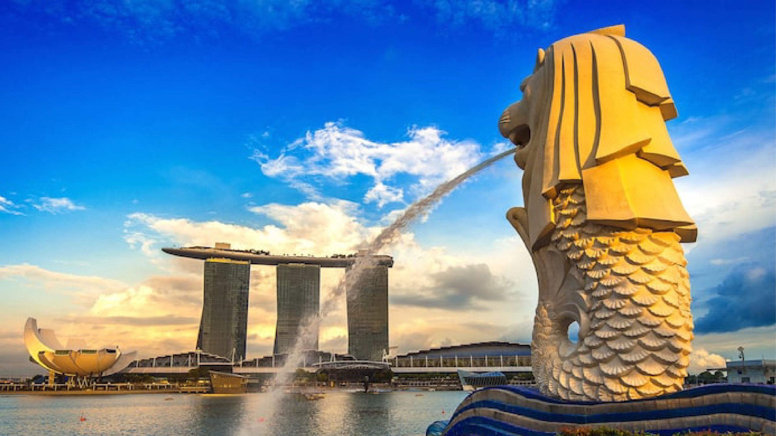 Complete Guide to Working in Singapore for Foreigners: Visa Types, Salary Requirements and Process (2026 Update)