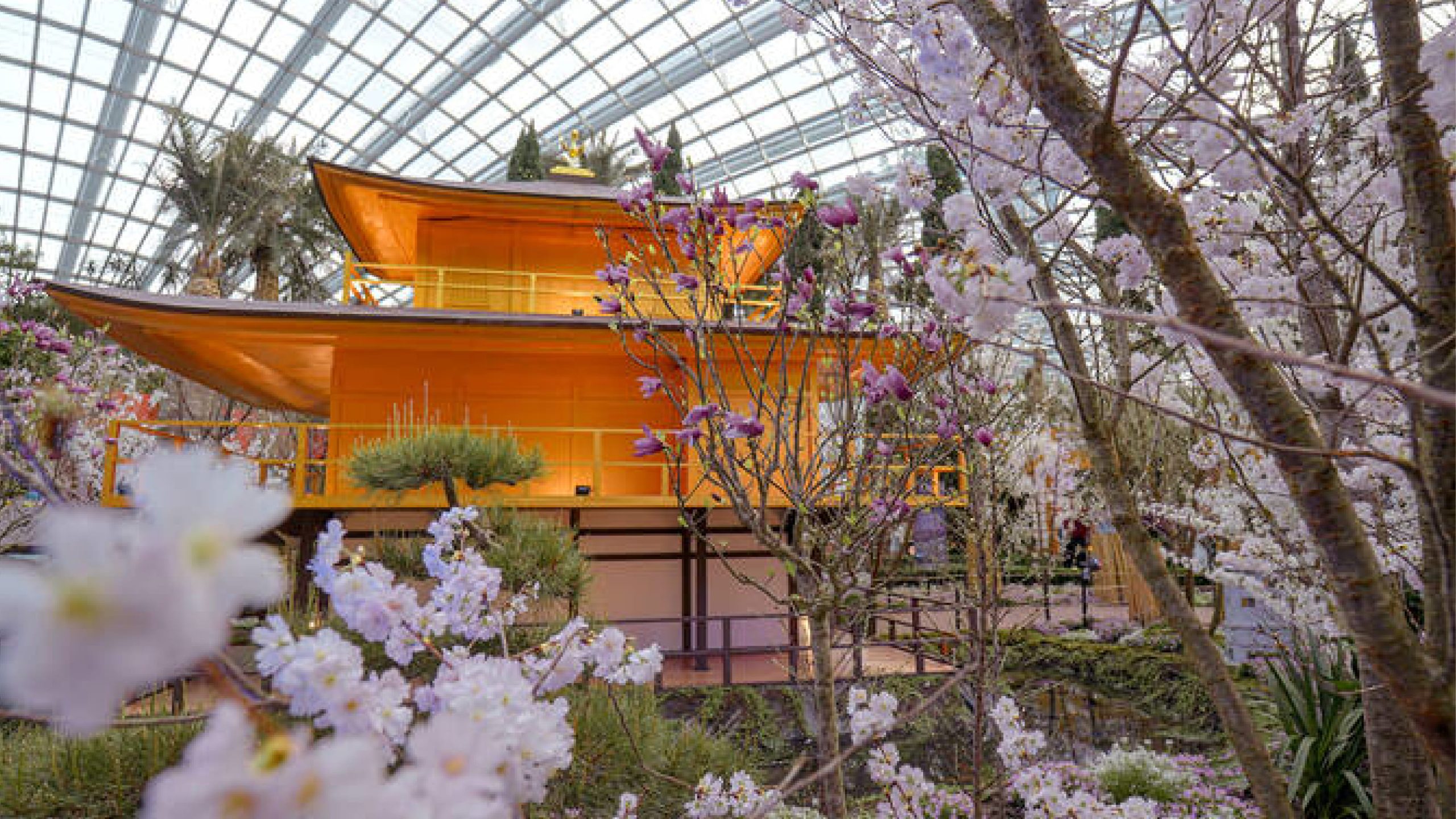 Sakura Season Singapore 2026 at Gardens by the Bay: Cherry Blossoms, Sanrio and Anime Garden Experience