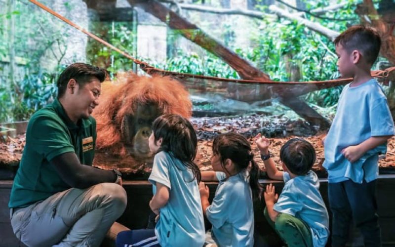 Mandai Wildlife Reserve New Attractions 2025: Overnight Camps, ZooSchool, Dining Alley & More