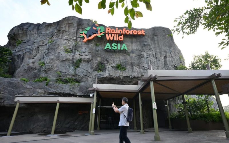 Rainforest Wild Asia in Mandai Opens on March 12: Adventure & Wildlife Combined