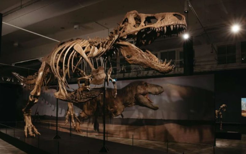 Science Centre Singapore to Unveil Largest-Ever Dinosaur Showcase in October