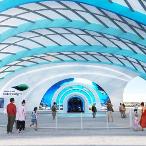 Singapore Oceanarium Reopens on July 23 with 22 Immersive Zones and Expanded Exhibits
